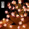 Ycaaeo 3M Fiori di Ciliegio Luci 30LED, Decorazioni LED Fiori di Ciliegio, Luci Fiori di Ciliegio USB, per Camera da Letto Femminile/Soggiorno/Giardino/Matrimonio (Con Telecomando)