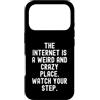 Culture Humor Witty Observational Tech Custodia per iPhone 17 Pro Internet è un posto strano e pazzo uomini spiritosi Donne