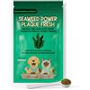 NATURALBIOPET | Integratore Dentale Naturale Cani e Gatti (100g) | Con Alga Ascophyllum Nodosum e Finocchio | Aiuta a Combattere Tartaro, Placca e Alito Cattivo | Igiene Orale