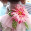 Bodhi2000® Pet Daisy Flower Garza Tutu Vestito Cane Bowknot Principessa Vestiti Appearl