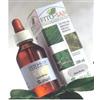 SANGALLI Srl BIANCOSPINO FIORI/FGL 100ML TM