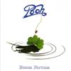C.G.D Buona Fortuna