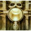 Rhino Brain Salad Surgery