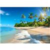 QiHon Puzzles for Adults 1000 Pezzi Piante Tropicali Spiaggia Puzzle Giochi 75 x 50 cm Intrattenimento Creativo Puzzle Classico Puzzle Difficile Puzzle da 1000 Pezzi per Adulti