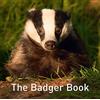 Graffeg The Badger Book