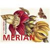 ANACONDA Postkarten-Set Maria Sibylla Merian: 18 Kunstpostkarten aus hochwertigem Karton.: 2