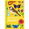 Ladybird What to Look For in Summer