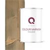 Q-COVER Vernice per legno grigio beige 7006, 1 l, satinata, resina siliconata, per interni ed esterni, per tutti i tipi di legno, recinzioni, terrazze