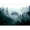 murando Carta da parati Foresta Nebbia 500x350 cm Fotomurali in TNT Murale alla moda Decorazione da Muro XXL Poster Gigante Design Cameretta Carta per pareti Natura Paesaggio scandinavo c-B-0533-a-d