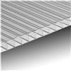 Ezooza Lastra policarbonato alveolare spessore 6 mm 100 x 100 cm Trasparente