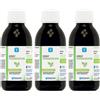 Nutergia Ergy Desmodium 3x250 ml Sciroppo