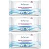 Sofarmapiu' Salviettine Pocket Clorexidina 3x20 St