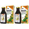 Salus Haus Mangesium Mineral-Drink 2x250 ml Sciroppo