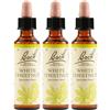 Schwabe Pharma Italia White Chest Bach Orig 3x20 ml Gocce orali