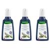Rausch Ag Kreuzlingen RAUSCH Shampoo Lucentezza Argentea Alla Salvia 3x200 ml