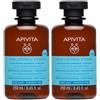 APIVITA Hyaluronic Hydra Shampoo Idratante per Capelli Fini 250ml con Miele StB e Acido Ialuronico 2x250 ml