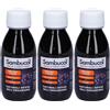 Sambucol Soluzione da Bere 3x120 ml orale