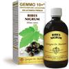 Dr Giorgini RIBES NERO (Ribes nigrum) Gemmoderivato Concentrato Liquido Analcool