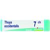 Boiron THUYA OCCIDENT 7CH GLOBULI 1G