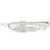 GEWA Roy Benson Bb Trumpet TR-202S (costruzione in ottone resistente, con custodia rettangolare leggera, set di zaini, valvole in acciaio inossidabile di qualità superiore), placcata in argento.