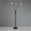 TRIO Leuchten Monza lampada da terra LED, 423310232, Monza [Lampade per Interni > Lampade da Terra]
