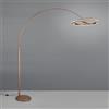 TRIO Leuchten Amador lampada curva LED, 442410165, Amador [Lampade per Interni > Lampade da Terra]