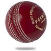 Cricnix Cricket Ball Premier Red Leather 156g (1-Pack) for Seniors Match