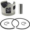 GFJHFDCR Set pistone Std Lato Sinistro 6R5-11631 6R5-11631-01 6R5-11631-01-93 Compatibile con fuoribordo 115HP 150HP 200HP 2 Tempi