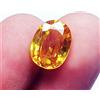 harshj_0 5.65 KT Certificato Loose Gemma A Qualità Naturale Giallo Zaffiro di Forma Ovale