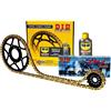 DID KAWASAKI Z (ZR750LLA-L7F/LAF/LAS/LBF/LCF) 750 2007 DID 520VX2 KIT CATENA CORONA