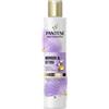 PANTENE MIRACLE SH SETA 250ML