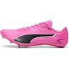 PUMA Scarpe da running evoSPEED Brush 7 unisex, Scarpe, Rosa, 44