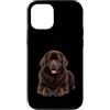 JustForDogLovers Custodia per iPhone 12/12 Pro Adorabile amante dei cani Terranova Marrone