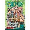 Simon & Schuster One Piece 28: Wyper The Berserker [Lingua Inglese]
