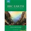BBC earth collection - Yellowstone (DVD)