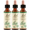 Schwabe Pharma Italia Walnut Bach Orig 3x20 ml Gocce orali