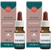 ERBA VITA Lavanda Olio Essenziale 2x10 ml