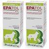 Trebifarma Epatol Pc Gocce Flacone 50 G 2x50 g orali
