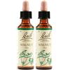 Schwabe Pharma Italia Walnut Bach Orig 2x20 ml Gocce orali