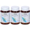 arkofarm Arkopharma Arkocapsule® Equiseto 3x15 g Capsule