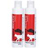 Therapet Dermal Theramicotic Shampoo 2x200 ml