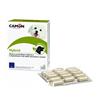 CAMON SPA HYBRID 30CPR
