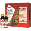 SALUS HAUS Gmbh & Co KG FLORADIX FERRO 10FL 20ML