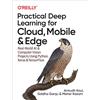 O'Reilly Media Practical Deep Learning for Cloud and Mobile: Real-World AI & Computer Vision Projects Using Python, Keras & TensorFlow