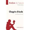 LEPETITLITTERAI Chagrin d'école de Daniel Pennac (Analyse de l'oeuvre): Comprendre la littérature avec lePetitLittéraire.fr [Lingua francese]