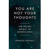 Zero Books You Are Not Your Thoughts: The Secret Magic of Mindfulness