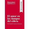 ResumenExpress.com El amor en los tiempos del cólera de Gabriel García Márquez (Guía de lectura): Resumen y análisis completo