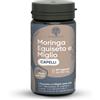 REDMORINGA Srl Integratore Capelli Moringa e Equiseto - 60 Capsule
