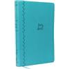Thomas Nelson The Holy Bible: King James Version, Value Compact Thinline Bible, Imitation Leather, Teal Leathersoft, Red Letter Edition