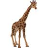 Bullyland 63710-Figurine, Toro Giraffa, Altezza ca. 20 cm, Statuetta Dipinta a Mano, Senza PVC per Bambini per Giochi Fantasy 63710, Multicolore
